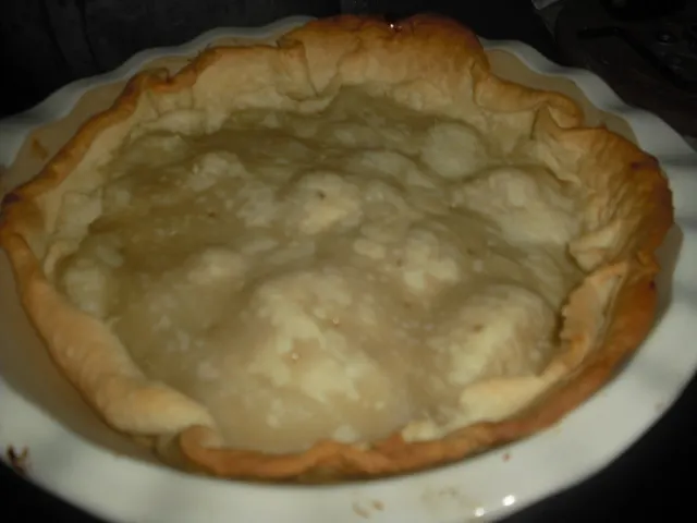 wordless wednesday my first pie wordless wednesday my first pie