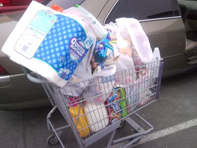 my overflowing grocery cart my overflowing grocery cart