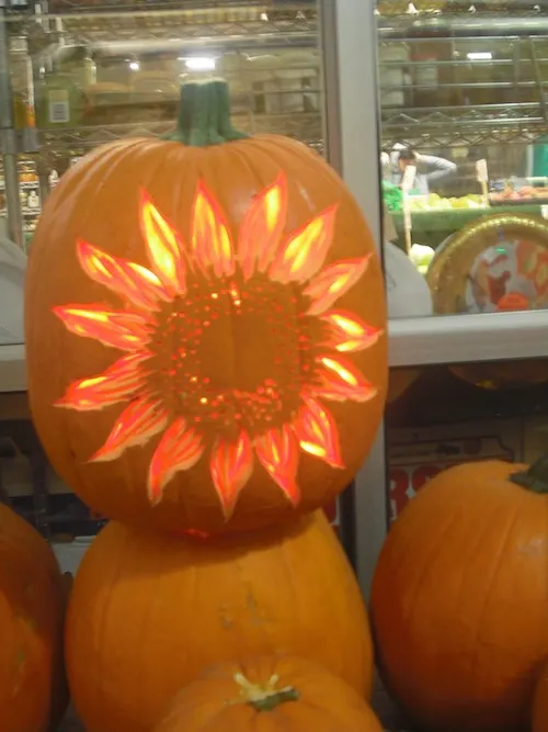 Pumpkin Flower