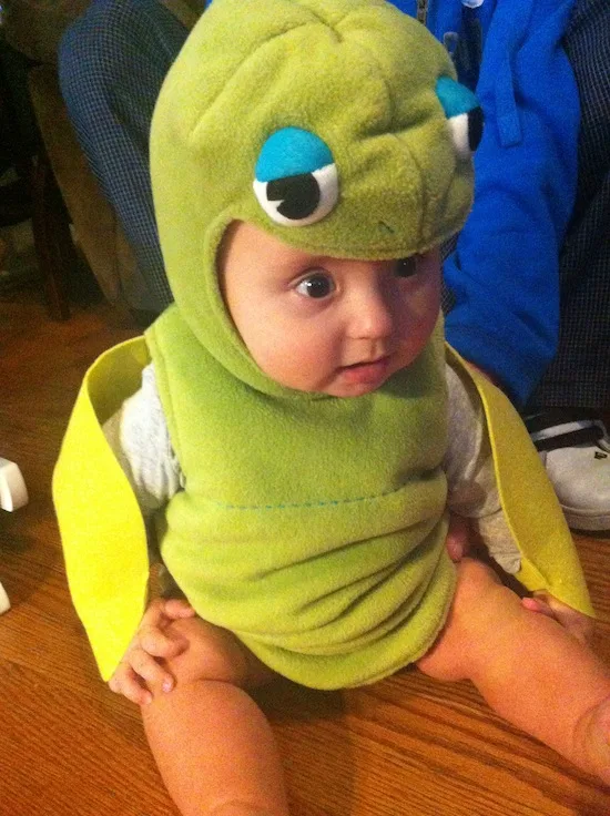 Pottery Barn Kids Baby Sea Turtle Costume