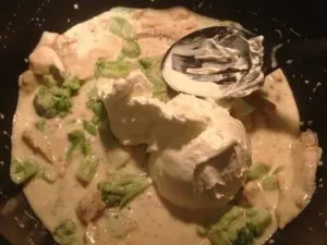 Progresso Recipe Starters review - Chicken Broccoli Stroganoff Recipe Progresso Recipe Starters review - Chicken Broccoli Stroganoff Recipe
