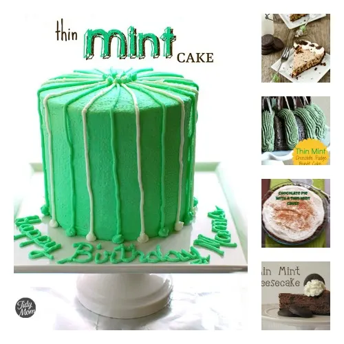 5 Thin Mint Cake Recipes