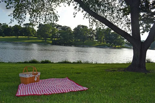 picnic near water - image from Flickr