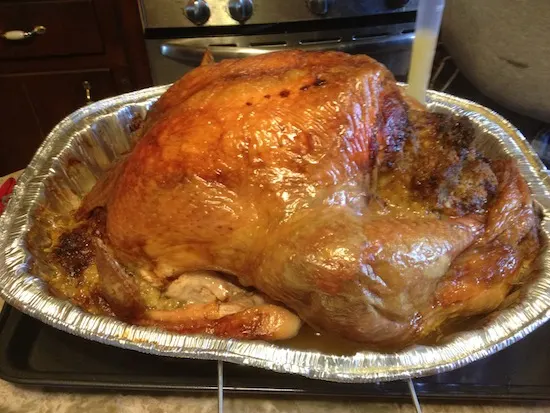 Wordless Wednesday Thanksgiving Turkey