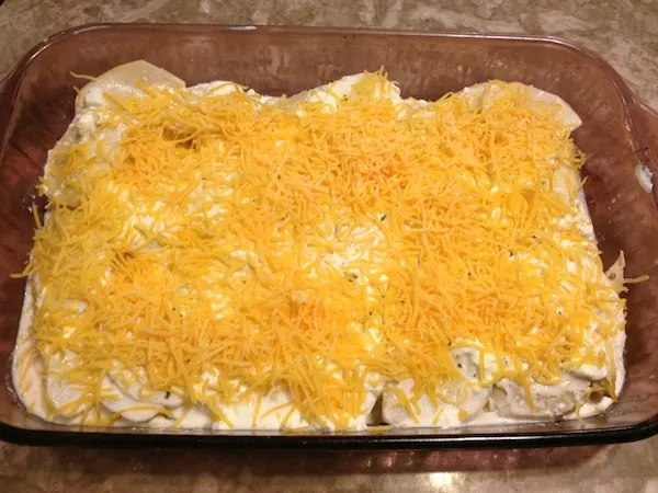 Gluten-free Chicken and Cheesy Scalloped Potatoes Recipe
