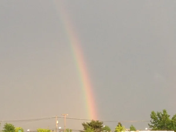 WW - Rainbow