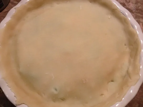 EasyCheesyBaconChickenPotPie4