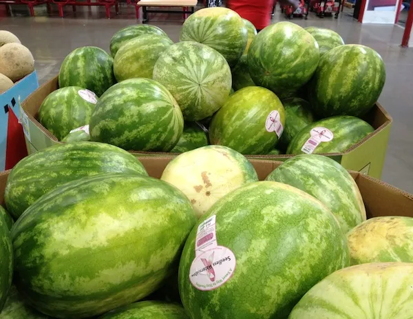 WW - Watermelons