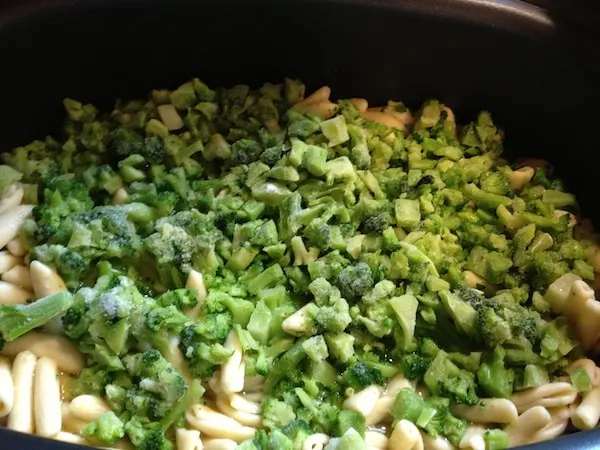Cheesy Chicken Broccoli And Cavatelli Recipe For The Ninja Cooking System