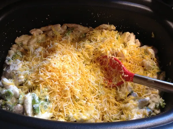 Cheesy Chicken Broccoli And Cavatelli Recipe For The Ninja Cooking System