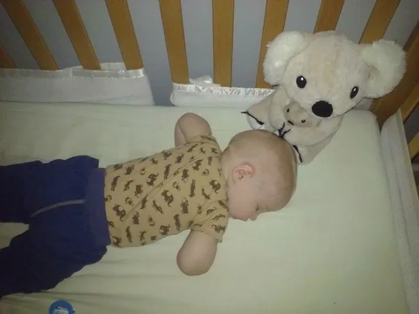 Mama Koala & Baby from Cloud b