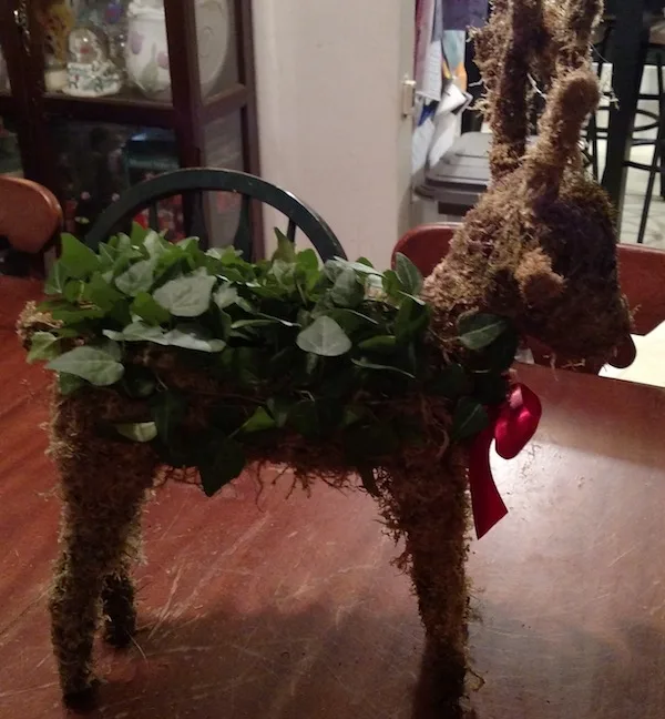 ProFlowers Rustic Natural Home Collection topiary