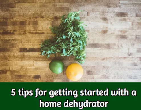 5 tips for getting started with a home dehydrator