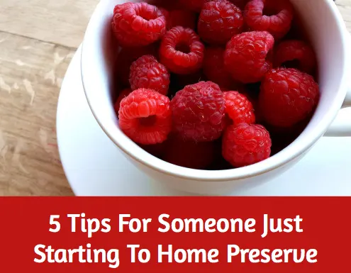 5 Tips For Someone Just Starting To Home Preserve - Preservation Society Home Preserves: 100 Modern Recipes