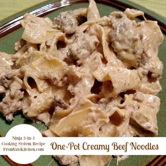 One-Pot Creamy Beef Noodles Recipe For Ninja 3-in-1 Cooking System From Val's Kitchen