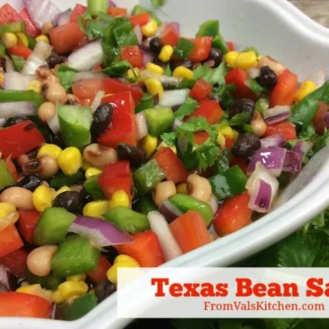 Texas Bean Salsa Recipe From Val's Kitchen