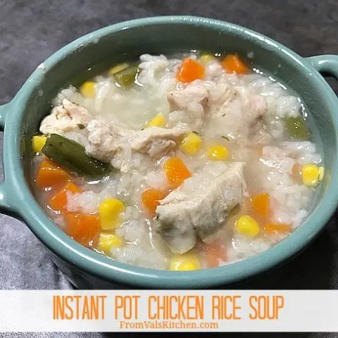 Instant Pot Chicken Rice Soup Recipe From Val's Kitchen