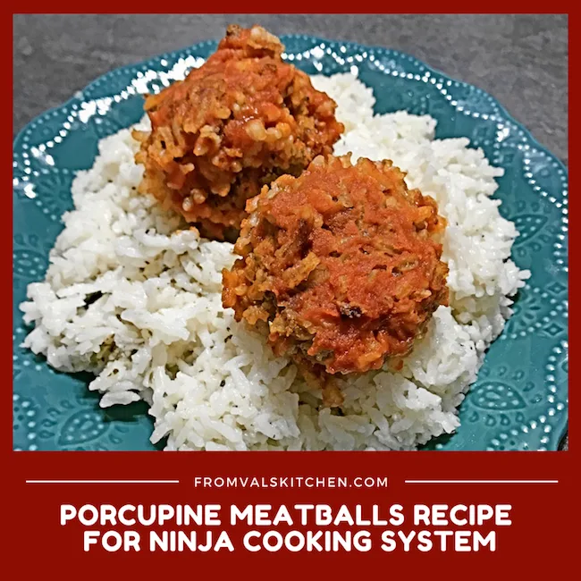 Porcupine Meatballs Recipe For Ninja Cooking System