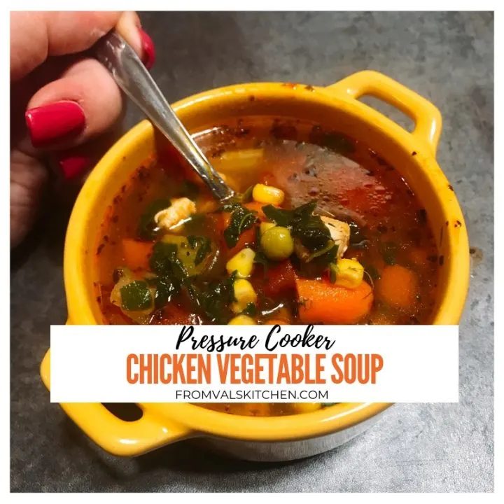 Gluten-free Pressure Cooker Chicken Vegetable Soup Recipe From Val's Kitchen