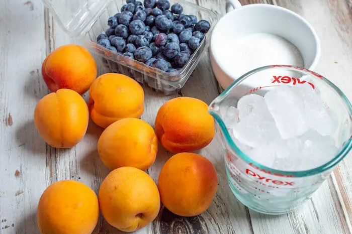 Blueberry Apricot Slushie Recipe