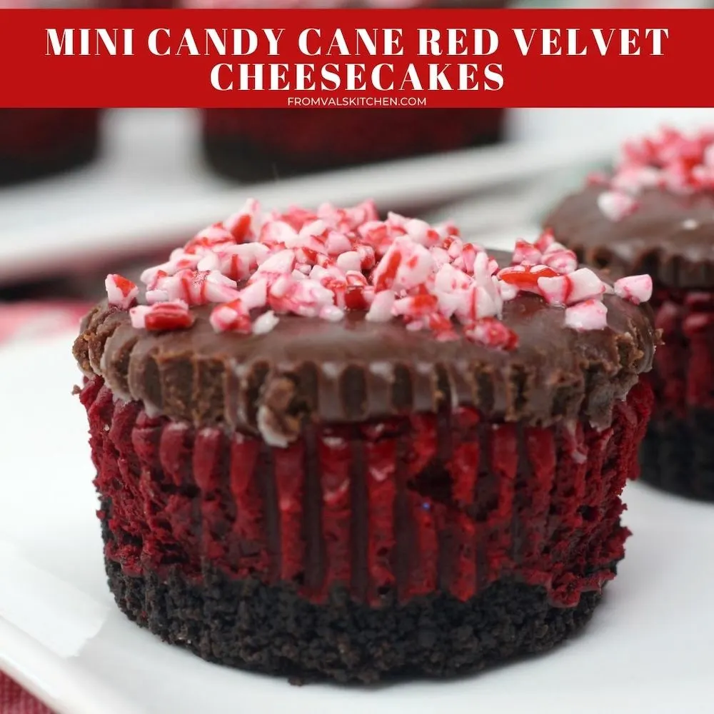 Mini Candy Cane Red Velvet Cheesecakes Recipe