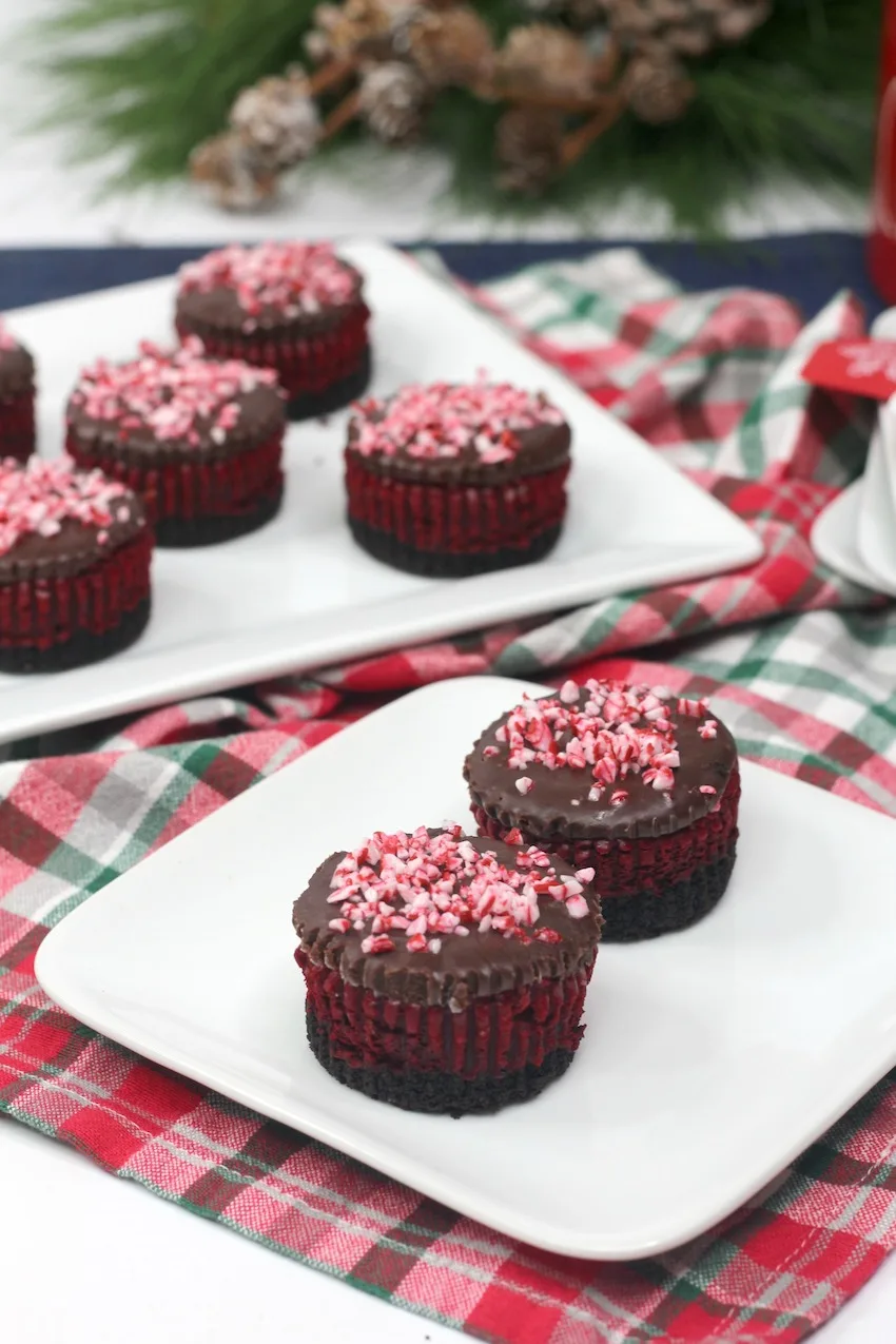 Mini Candy Cane Red Velvet Cheesecakes Recipe
